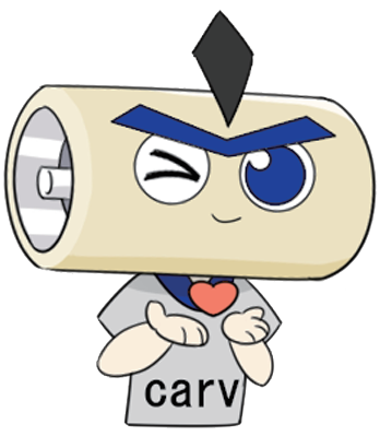Ningbo Carv Automation Technology Co., Ltd.